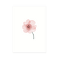 Rose bloem roze kaart