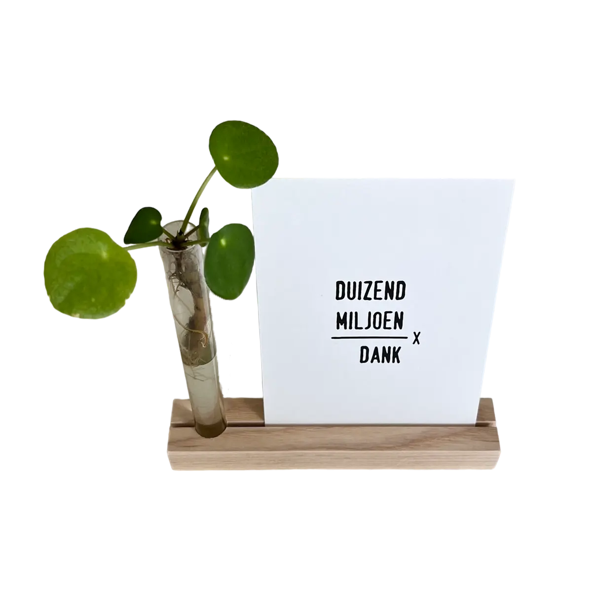 kaartenhouder met vaasje