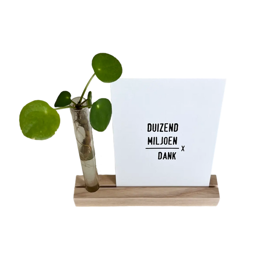 kaartenhouder met vaasje