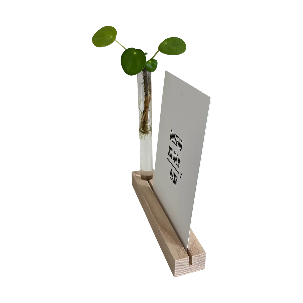 kaarthouder blokje met reageerbuisje