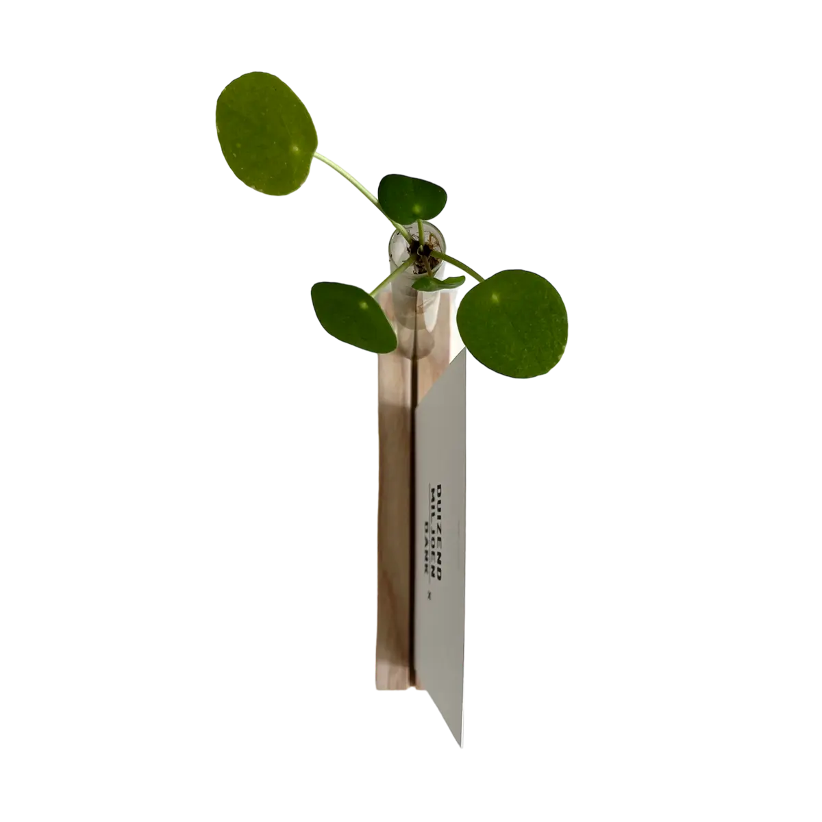 kaartenhouder reageerbuisje